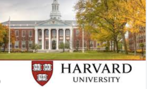 Does Havard Offers Online Degrees?