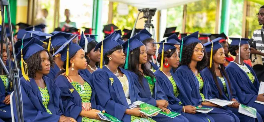 The Top 10 Colleges of Education in Ghana And Courses | Wiz Avenue